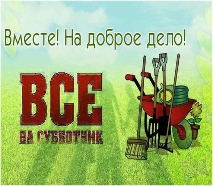 «Эстафета добра: 6Б класс активно заботится о природе!».