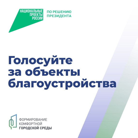 Голосуем за будущее!.